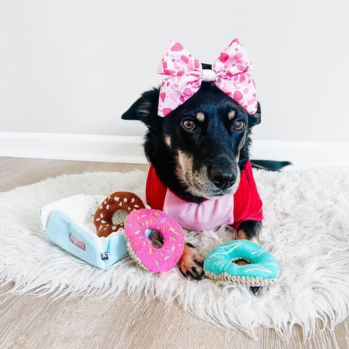 DONUTS INTERACTIVE DOG TOY