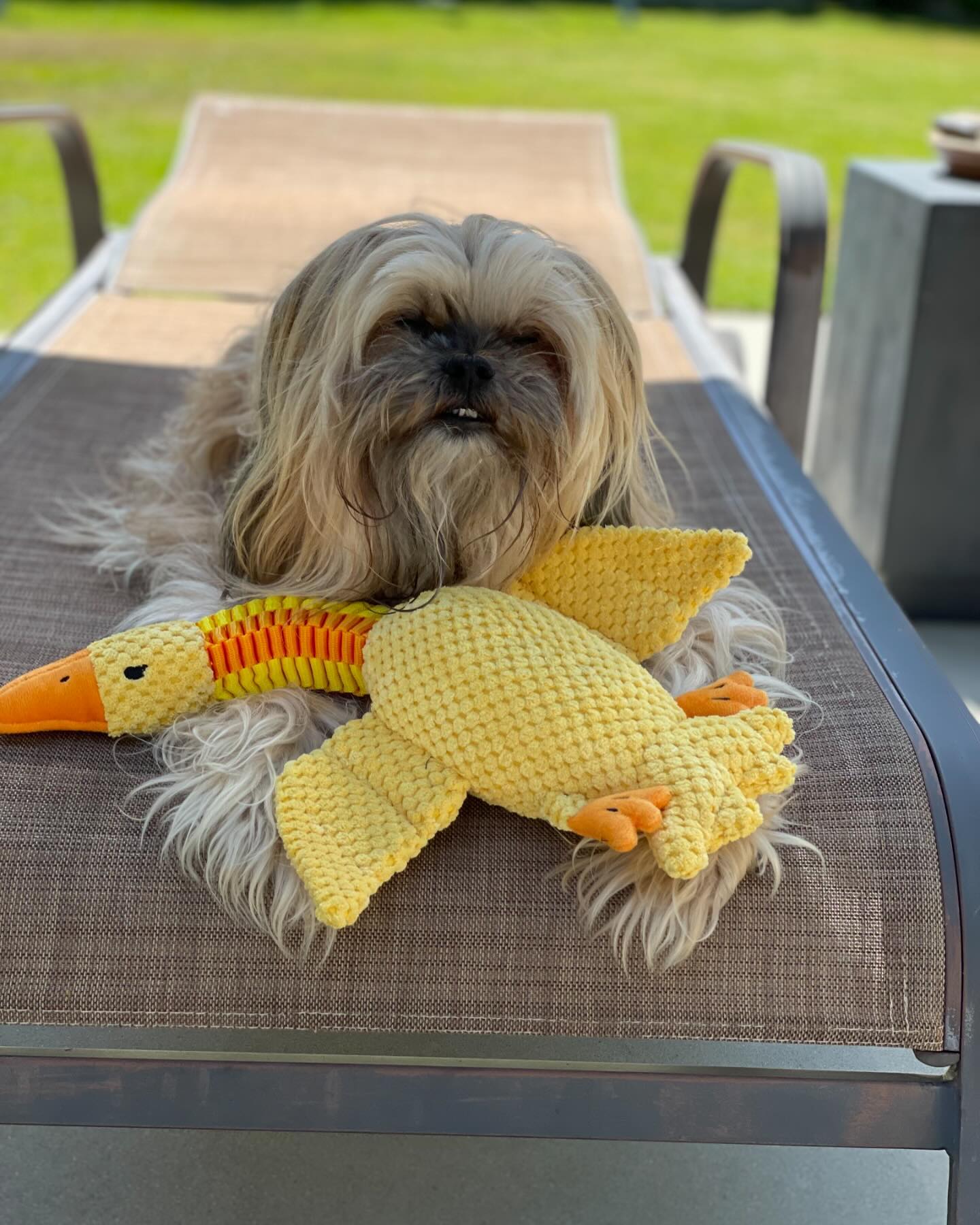 DUCK NECK INTERACTIVE DOG TOY
