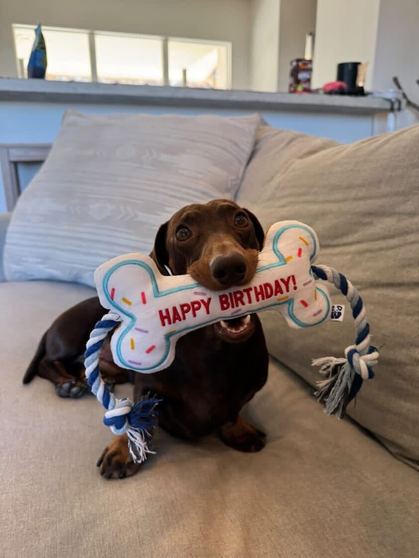 BIRTHDAY BONE